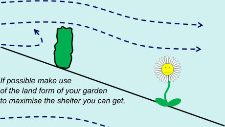 If possible make use  of the land form of your garden  to maximise the shelter you can get.
