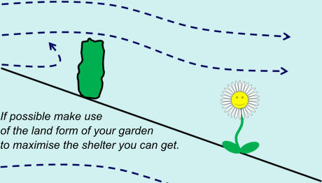 If possible make use  of the land form of your garden  to maximise the shelter you can get.